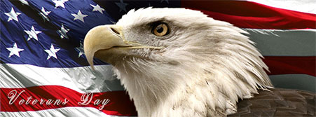 Eagle American Flag